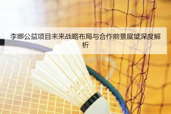 李娜公益项目未来战略布局与合作前景展望深度解析